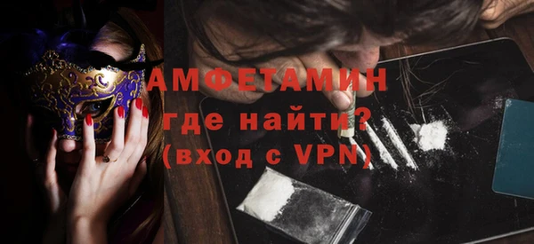 индика Алексин