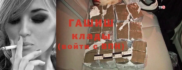 индика Алексин