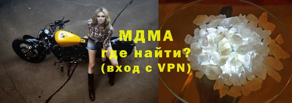 индика Алексин