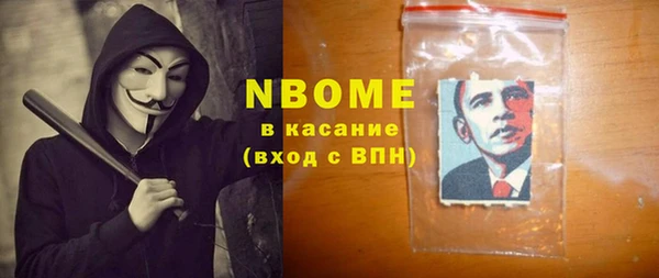 индика Алексин