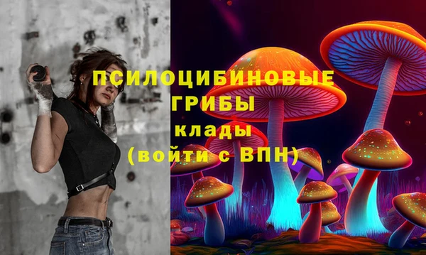 индика Алексин