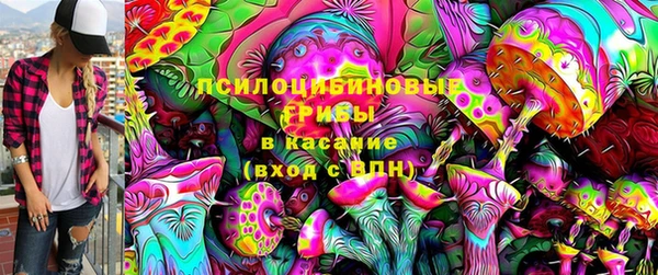 дурь Алексеевка