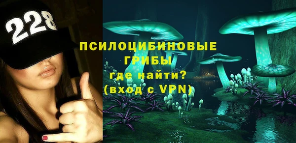 индика Алексин