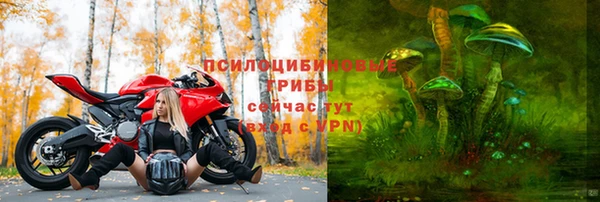 эйфоретик Инта