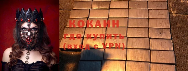 индика Алексин