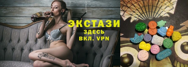 индика Алексин